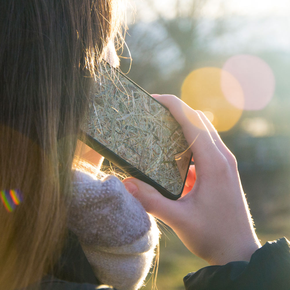 Organické púzdro na mobil Alpine Hay – ručne lisované alpské seno | YEVA.sk