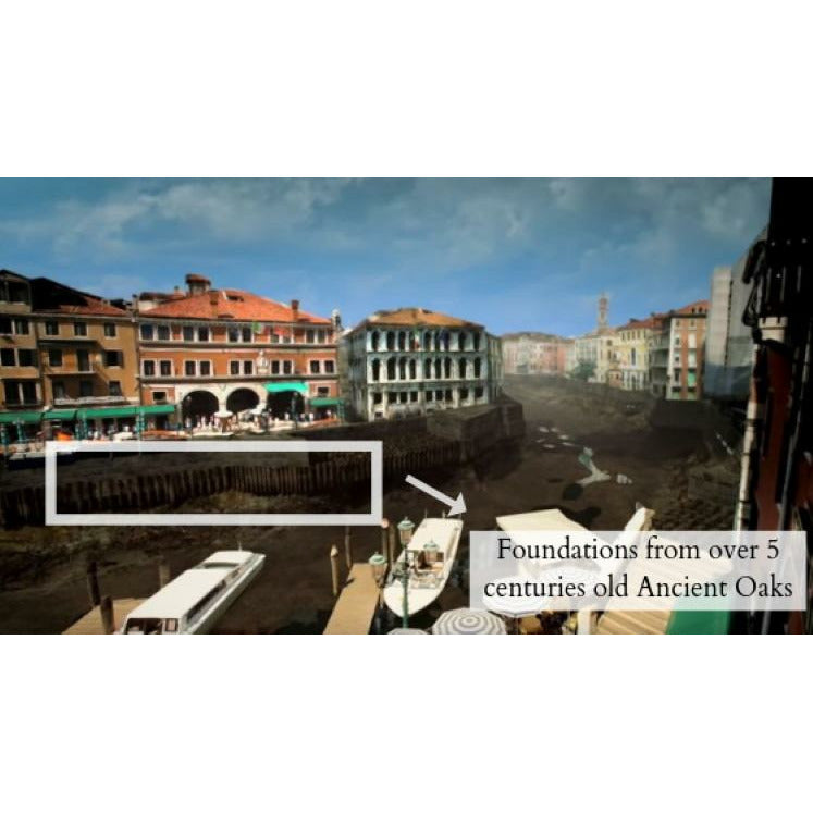 Drevené púzdro na mobil The Venice Case – z 500-ročného dubu z Benátok 🌊🌳 | YEVA.sk